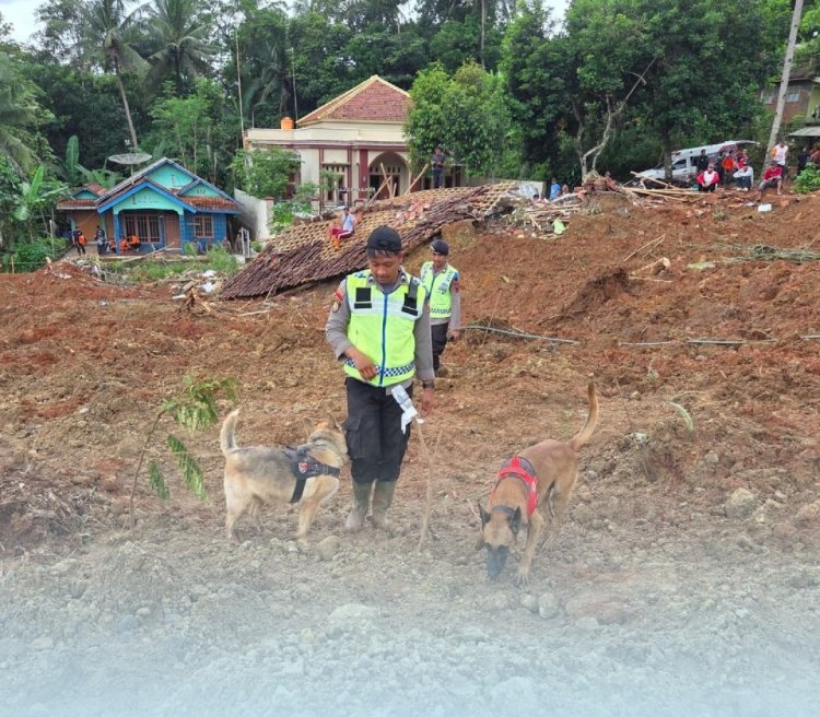 Tim K9 Polri Terus Lakukan Pencarian Korban Longsor Di Cilacap