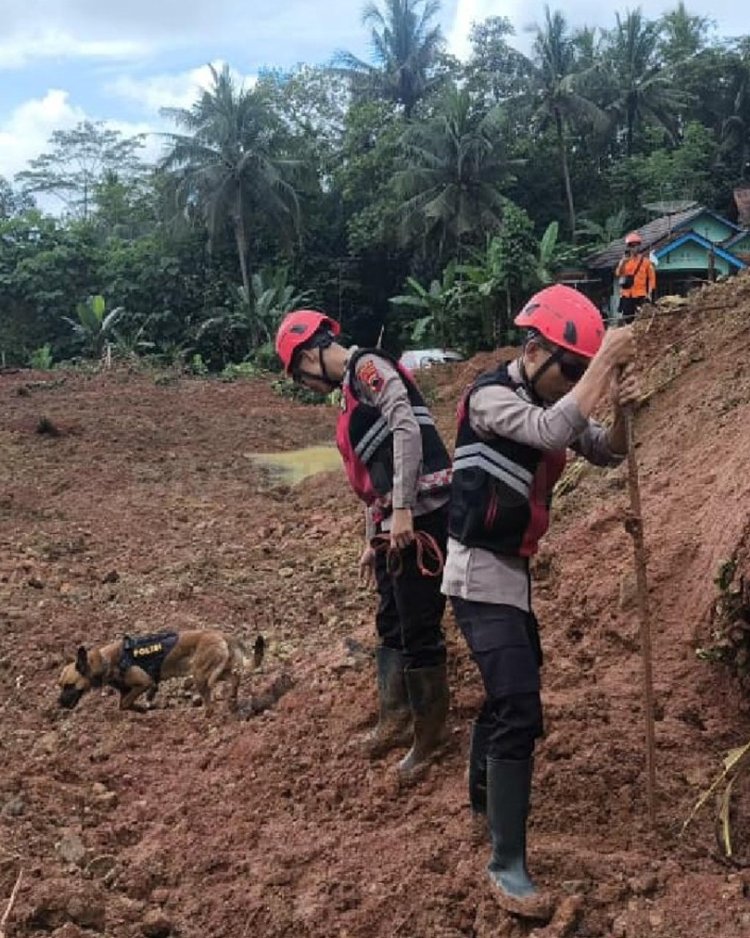 Tim K9 Polri Terus Lakukan Pencarian Korban Longsor Di Cilacap