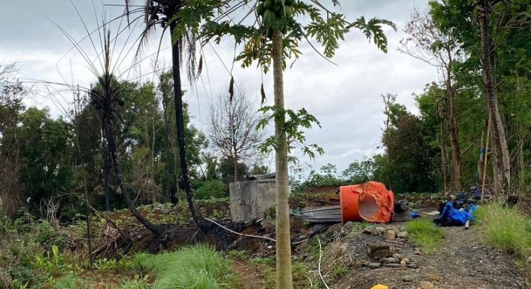 Pemulihan Lahan Pasca Kebakaran Kandang Ayam di Desa Kedunglo Mulai Dilakukan
