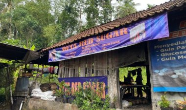 Duta Red Sugar, Cerita Usaha Gula Merah dari Desa Dilem yang Terus Bertumbuh