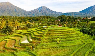 Prioritas Pariwisata 2026: Keamanan Wisata, Desa Wisata Berkembang, dan Pariwisata Berkualitas