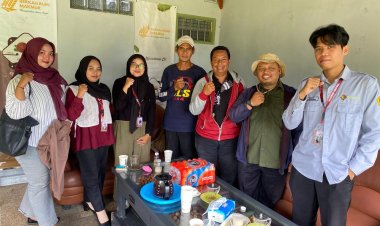 Kacang Macadamia Ampelgading, Potensi Pangan Sehat Bernilai Tinggi yang Masih Minim Dikenal