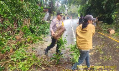 Sigap, Kapolsek jampang Tengah Evakuasi Pohon tumbang