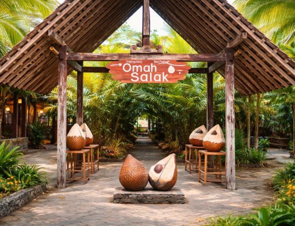 Salak Buah Asli Sleman yang Punya 7 Manfaat Luar Biasa untuk Kesehatan