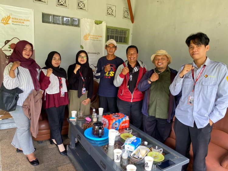 Kacang Macadamia Ampelgading, Potensi Pangan Sehat Bernilai Tinggi yang Masih Minim Dikenal