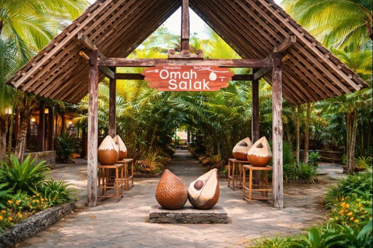 Salak Buah Asli Sleman yang Punya 7 Manfaat Luar Biasa untuk Kesehatan