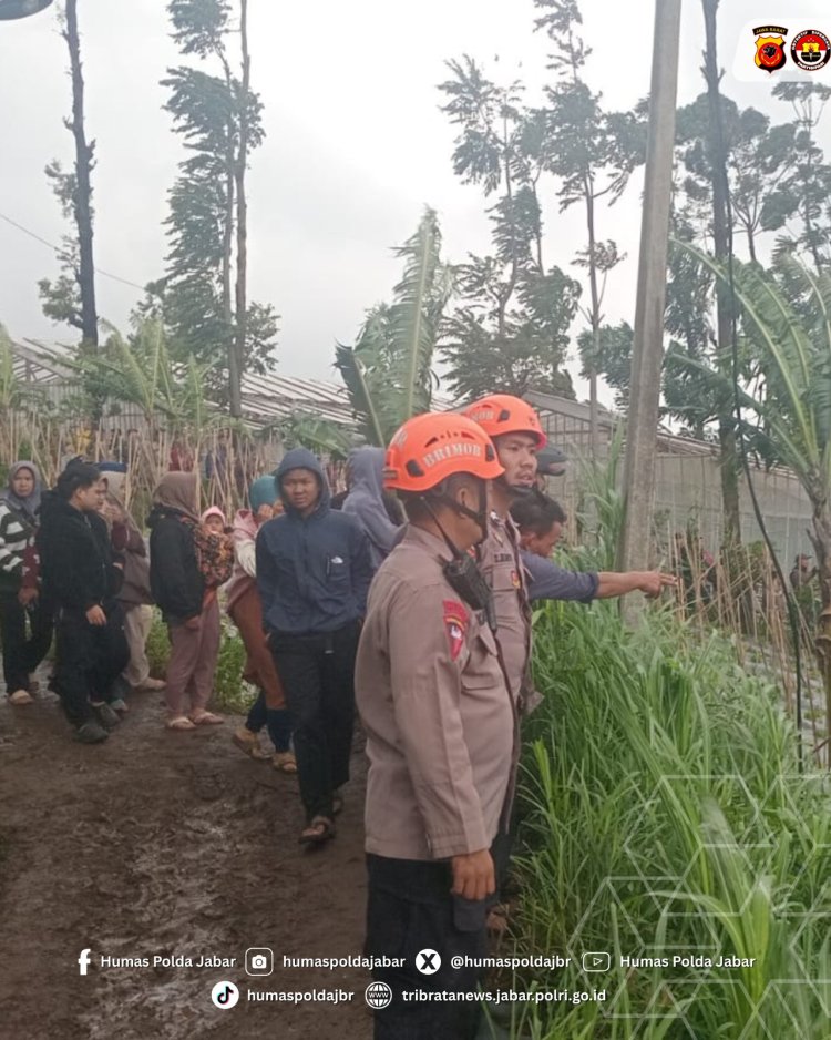 Tim SAR Brimob Polda Jabar Evakuasi Korban  Longsor Di Desa Pasirlangu , Cisarua KBB