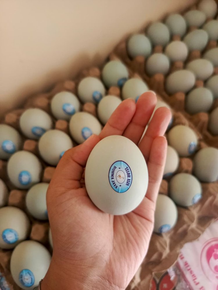 Kreativitas UMKM yang Berawal dari Telur Asin Saja Hingga Berinovasi Menjadi Cemilan yang Bernilai Jual Tinggi