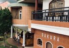 Hadirnya Kafe Baru “ Cafe Sakura” Menambah Daya Tarik Kuliner di Kelurahan Losari