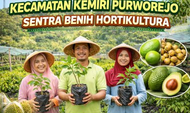 Kemiri Purworejo Jadi Sentra Benih Hortikultura Nasional, Kirim Bibit ke Berbagai Provinsi