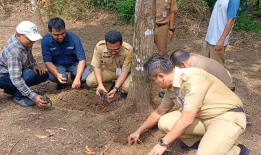 Peringati HPN 2026, Wartawan dan Mahasiswa Purworejo Tanam Pohon di Heroes Park
