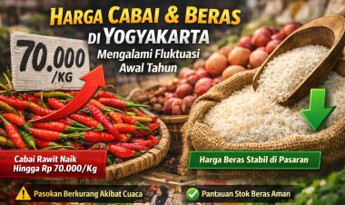 Harga Cabai dan Beras di Yogyakarta Mengalami Fluktuasi Awal Tahun