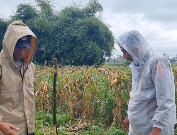 Komitmen Kapolsek Cangkuang Dukung Program Ketahanan Pangan Melalui Swasembada Jagung Hibrida