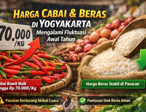 Harga Cabai dan Beras di Yogyakarta Mengalami Fluktuasi Awal Tahun