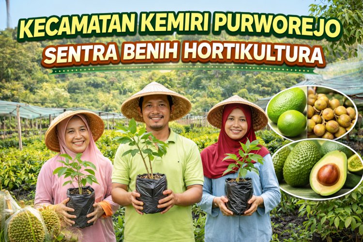 Kemiri Purworejo Jadi Sentra Benih Hortikultura Nasional, Kirim Bibit ke Berbagai Provinsi