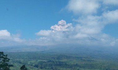 Aktivitas Vulkanik Semeru Meningkat, Guguran Awan Panas Terjadi