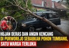 Hujan Deras dan Angin Kencang di Purworejo Sebabkan Pohon Tumbang, Satu Warga Terluka