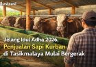 Jelang Idul Adha  2026, Penjualan Sapi Kurban di Tasikmalaya Mulai Bergerak
