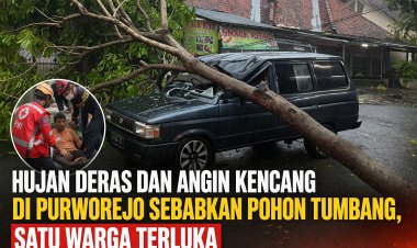 Hujan Deras dan Angin Kencang di Purworejo Sebabkan Pohon Tumbang, Satu Warga Terluka