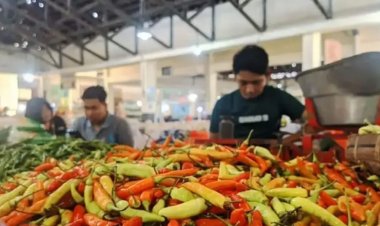 Inflasi Kota Malang Mulai Terkendali, Tekanan Harga Pangan Masih Dominan