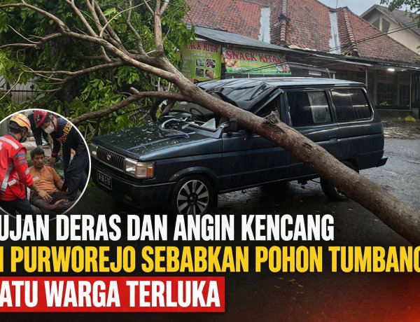 Hujan Deras dan Angin Kencang di Purworejo Sebabkan Pohon Tumbang, Satu Warga Terluka