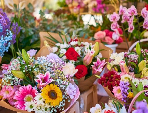 Layanan Toko Bunga Jakarta Semakin Dibutuhkan untuk Kebutuhan Acara dan Duka Cita