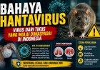 Bahaya Hantavirus, Virus dari Tikus yang Mulai Diwaspadai di Indonesia