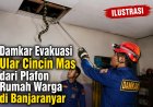 Damkar Evakuasi Ular Cincin Mas dari Plafon Rumah Warga di Banjaranyar