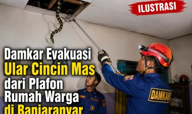 Damkar Evakuasi Ular Cincin Mas dari Plafon Rumah Warga di Banjaranyar