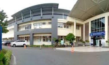 Kasus Serangan Jantung Usia Muda Meningkat, Inikah Pemicunya?
