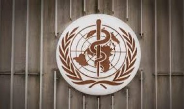 WHO Tetapkan Ebola Darurat Global, Kemenkes Wanti-wanti Konsumsi Makanan Seperti Ini