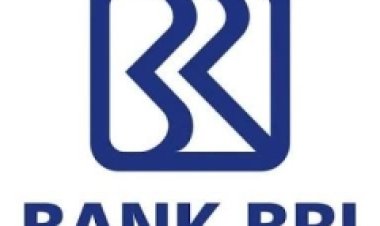 SOLUSI untuk Lupa Password Akun BRImo Karena Salah PIN-3 Kali Tanpa Ke Bank