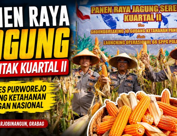 Polres Purworejo Panen Raya Jagung di Grabag, Dukung Ketahanan Pangan Nasional