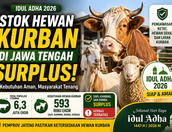 Pemprov Jateng Pastikan Stok Hewan Kurban Iduladha 2026 Aman dan Surplus