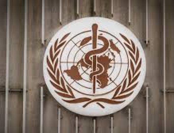 WHO Tetapkan Ebola Darurat Global, Kemenkes Wanti-wanti Konsumsi Makanan Seperti Ini