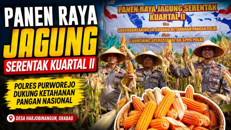 Polres Purworejo Panen Raya Jagung di Grabag, Dukung Ketahanan Pangan Nasional