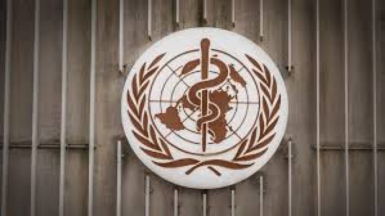 WHO Tetapkan Ebola Darurat Global, Kemenkes Wanti-wanti Konsumsi Makanan Seperti Ini