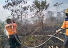 Karhutla Mulai Meningkat di Kalimantan Barat, Tim Gabungan Perkuat Upaya Pemadaman dan Pencegahan