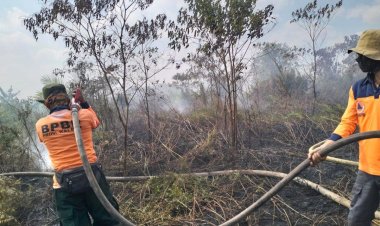 Karhutla Mulai Meningkat di Kalimantan Barat, Tim Gabungan Perkuat Upaya Pemadaman dan Pencegahan