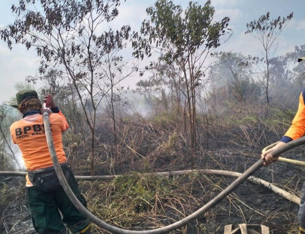 Karhutla Mulai Meningkat di Kalimantan Barat, Tim Gabungan Perkuat Upaya Pemadaman dan Pencegahan