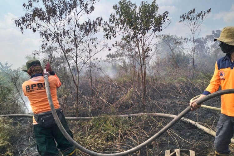 Karhutla Mulai Meningkat di Kalimantan Barat, Tim Gabungan Perkuat Upaya Pemadaman dan Pencegahan