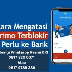 Simak Bagaimana Cara Lupa PIN BRImo dan Pasword Tampa Perlu Ke Bank